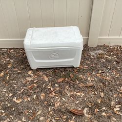 Medium igloo cooler