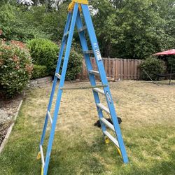 Werner 8 Ft Fiberglass Ladder 