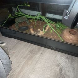 20 Gallon Reptile Tank 
