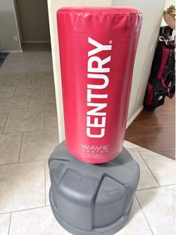 Punching/Kicking Bag