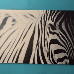 Zebra Print Wall Canvas 