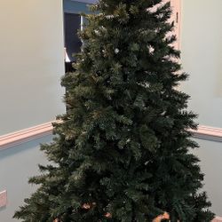 7,5’ Donner Fir Christmas Tree 4,6’ Diameter 