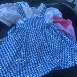 Beautiful Dorothy Costume Size 6 Girls