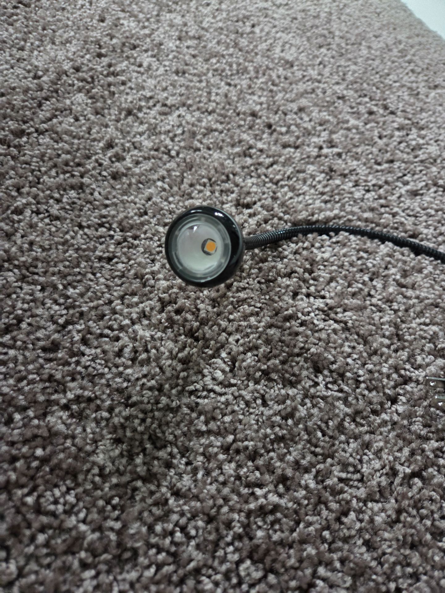 LED study lamp