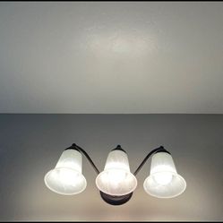 Vanity light fuxture