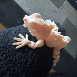 Iguana Tan 3 D 