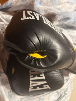 Everlast boxing gloves -used