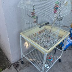 Bird Cage 