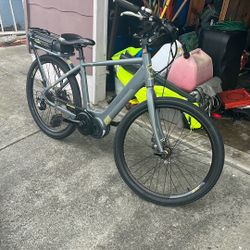 Raleigh Class 1 350W//20 MPH SuperLite Aluminum 