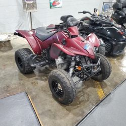 2021 Kymco Mingoise 270 Euro