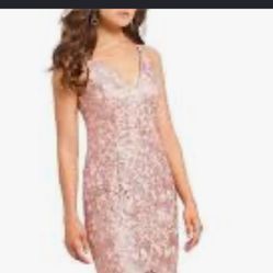 Pale pink lace dress by Xscape. Size 6. Like new 