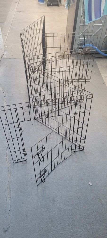 Dog Fence