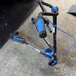 Fliker Wiggle Scooter