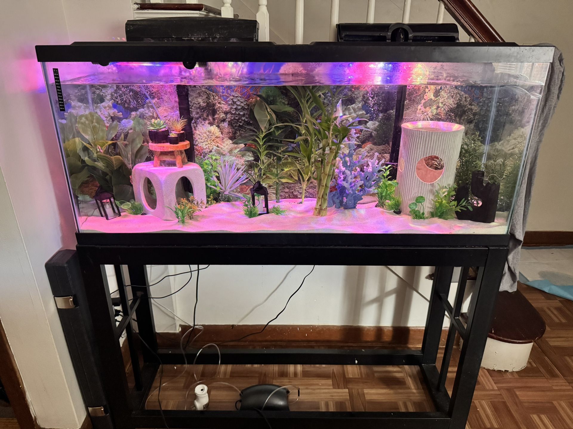 55 Gallon Fish Tank 