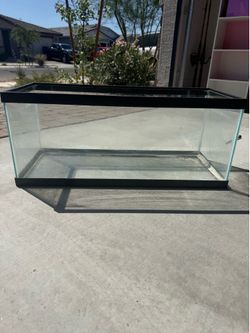 20 gallon tank