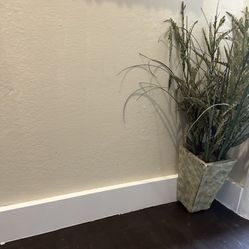 20Ft Baseboard Molding $8