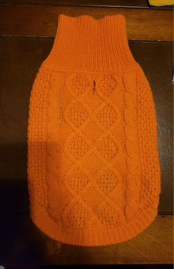 Orange sweater for dog