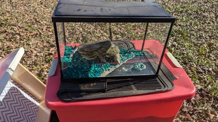 10 Gallon Critter Tank