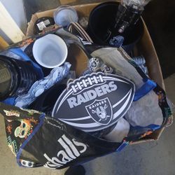 Raiders