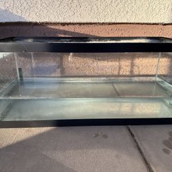 Fish Tanks.  🐠😎🐟😎🐬😎🦈😎