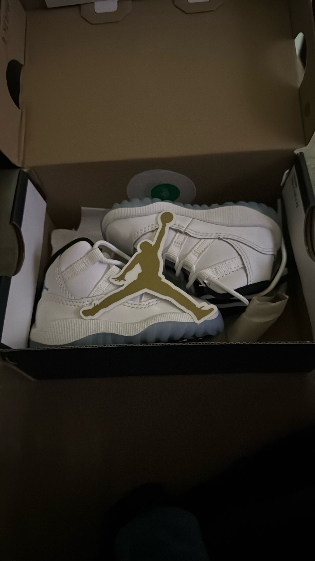 Toddler Jordan Retro 11