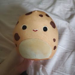 Cookie Squishmellow 