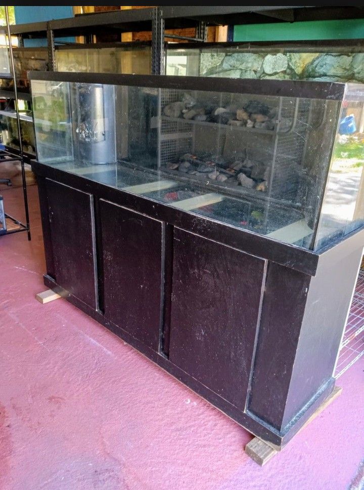 Fish Tank 150 G