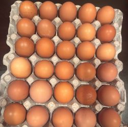 Organic fresh egggs