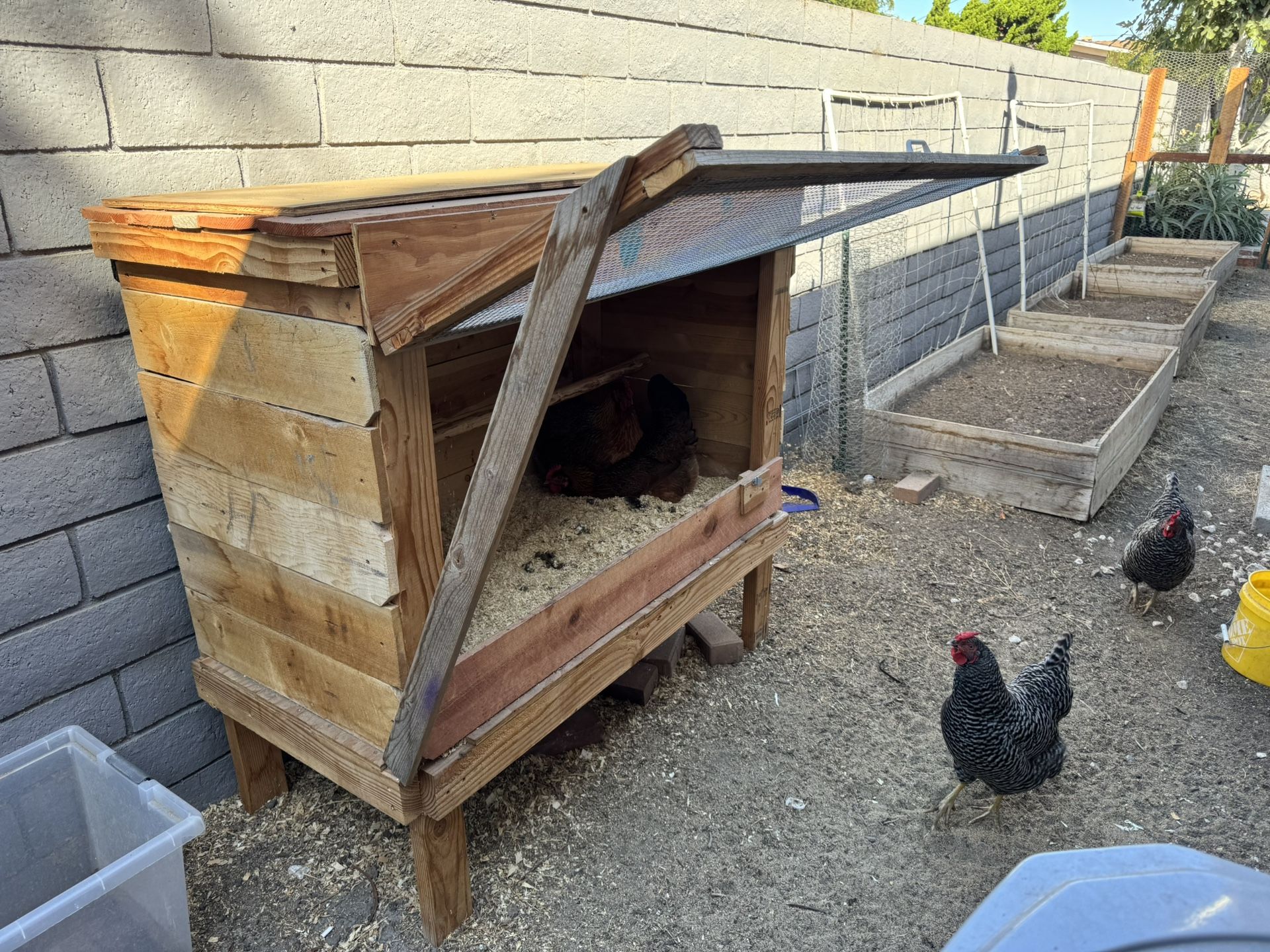 Chicken Coop