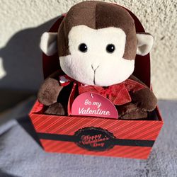 Valentines Stuffed Animal 