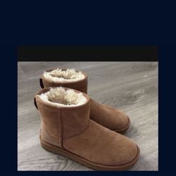 Ugg Size 7