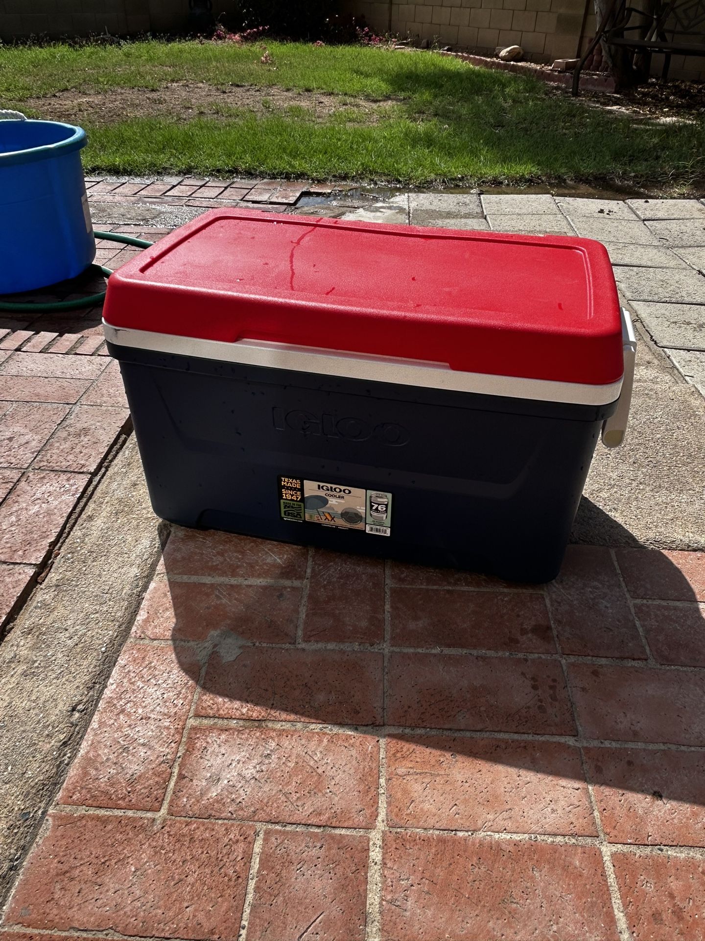 Igloo Cooler