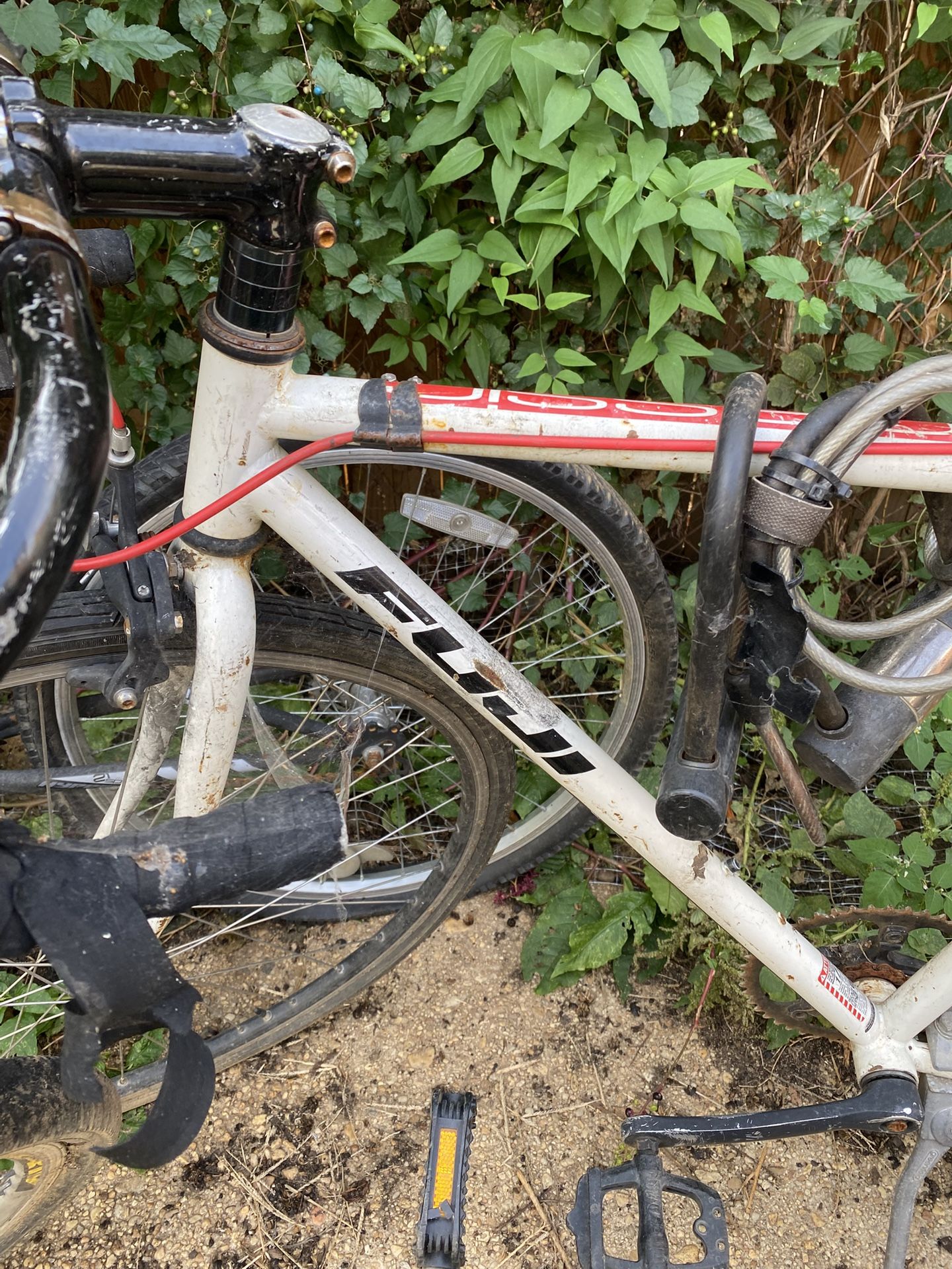 Fuji Bikes