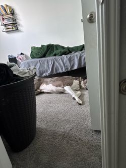 Full size memory foam mattress and bed frame