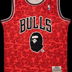 Bape Bulls NBA Jersey