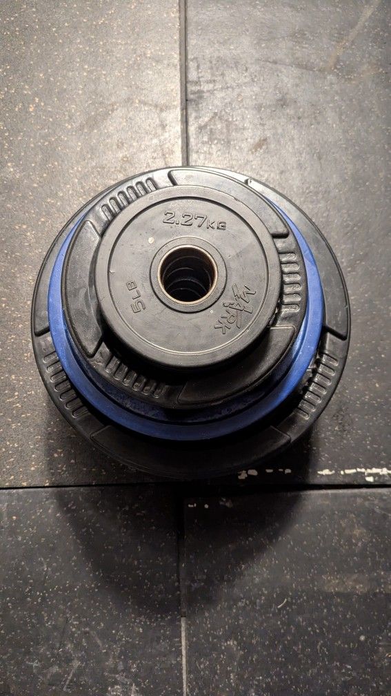🏋️♂️ For Sale: Olympic 2" Weight Plates – Great Condition