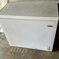 Storage Freezer 