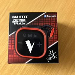 The Voice Talent Speaker 
