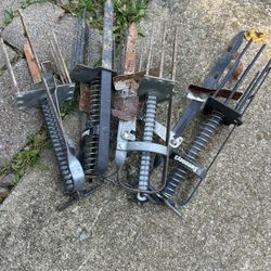Mole Traps