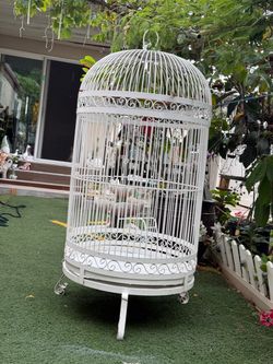 Parrot cage