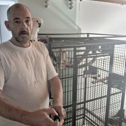 Large Parrot Cage