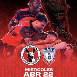 xolos vs pachuca