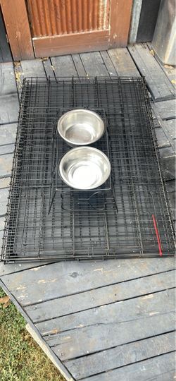 Dog create bowls and stand