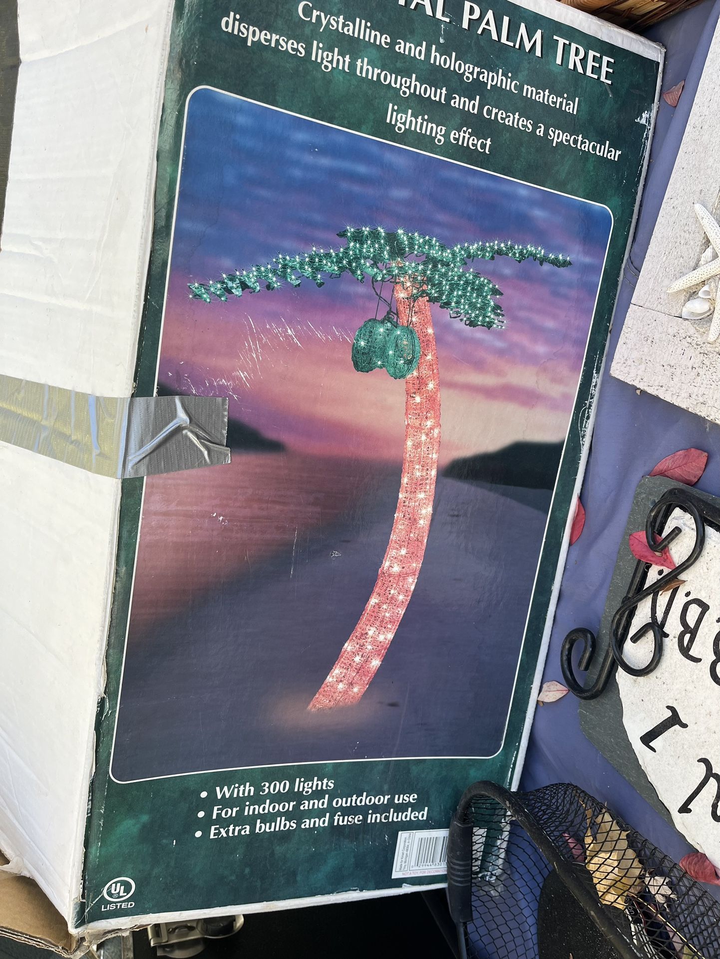 Palm Tree 