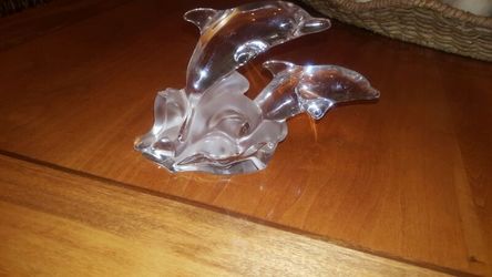 Dolphins glass wear..