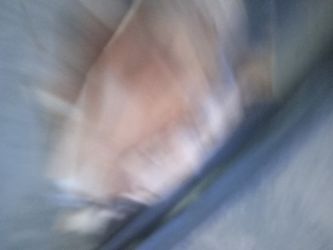 Weatherstripping. New. Mopar