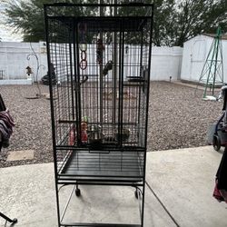 Bird Cage