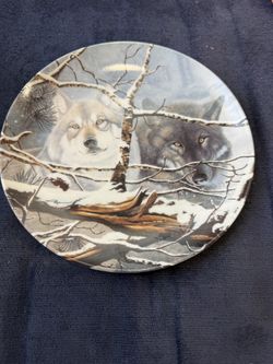 Collector plates