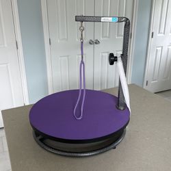 Pet Groom Table