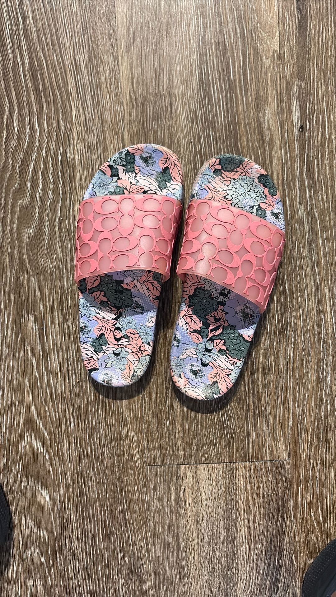 Coach Slides